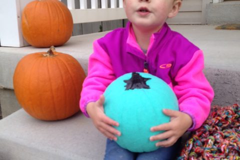 #TealPumpkinProject