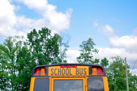 4 Reasons we need more role-models like Ms. Frizzle.